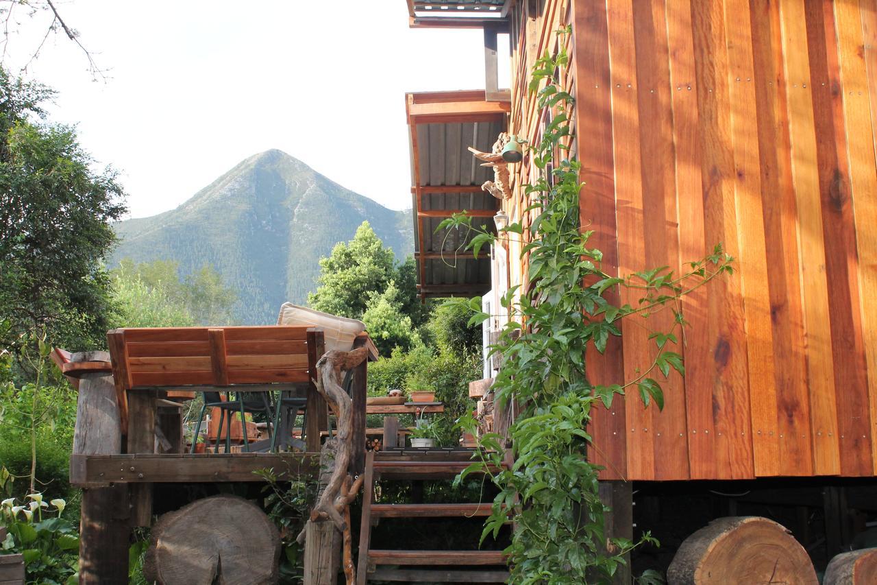 Boutique Vintage Forest Cabin Stormsrivier Exterior photo